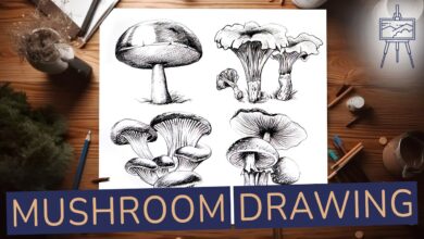 Drawing Mushrooms