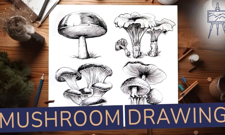 Drawing Mushrooms