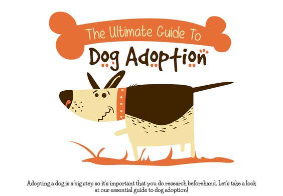 Puppy Adoption Guide: How to Choose the Best Dog for Your Family Puppy Adoption Guide