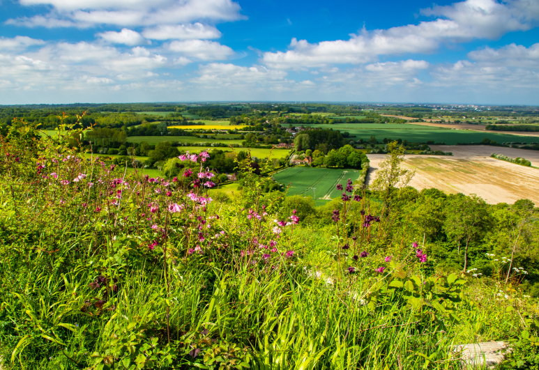 Matfield Kent United Kingdom